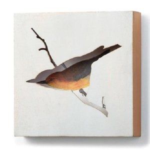 The Nathan Murrell Collection Bird Shadow Box NEW